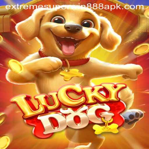 Dive into LuckyDog: An Exciting Gaming Experience with Extreme Superwin888